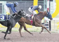  ?? (Photos: Naphtali Junior) ?? Akeem The Dream (right), under Shane Ellis, holds off Big Big Daddy (Robert Halledeen) to win a maiden condition race on Saturday.