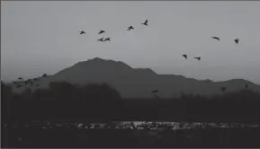  ?? BEA AHBECK/NEWS-SENTINEL FILE PHOTOGRAPH ?? Sandhill cranes arrive for the night with Mount Diablo in the background as the sun sets at the Woodbridge Ecological Reserve in Lodi on Oct. 26, 2017.