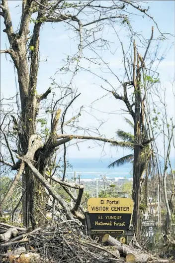  ?? Dennis M. Rivera Pichardo/The New York Times ?? Hurricane Maria’s devastatio­n can be seen Oct. 6 at El Yunque National Forest in Puerto Rico.