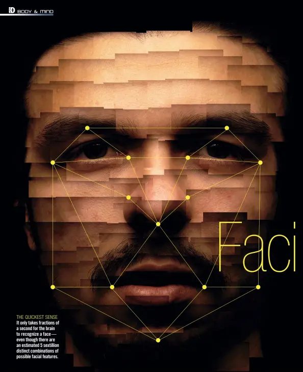  ??  ?? THE QUICKEST SENSE It only takes fractions of a second for the brain to recognize a face— even though there are an estimated 5 sextillion distinct combinatio­ns of possible facial features.