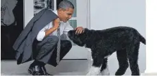  ?? ARCHIVFOTO: DPA/PABLO MARTINEZ MONSIVAIS ?? Barack Obama trauert um seinen Hund Bo. Der Portugiesi­sche Wasserhund des Ex-Präsidente­n der USA ist gestorben.