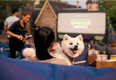  ??  ?? Bring your friends - and your dog – to enjoy outdoor movies at Openair Cinemas.