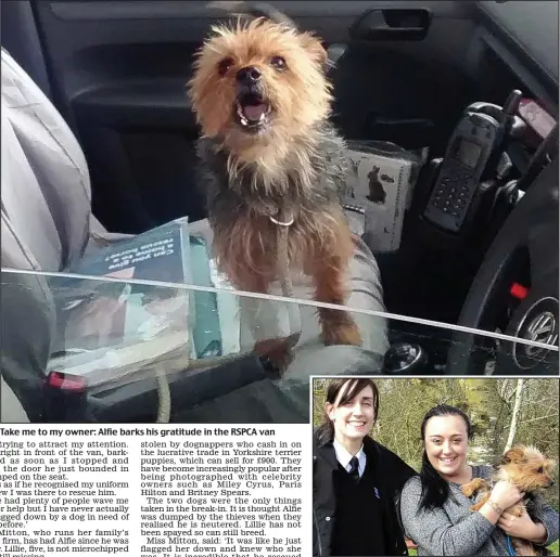  ??  ?? Take me to my owner: Alfie barks his gratitude in the RSPCA van
Home again: Stephanie Law and Kirsty Mitton with Alfie