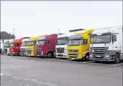  ??  ?? Fears over the impact of a lorry park on local roads have been dismissed by Nigel Farage