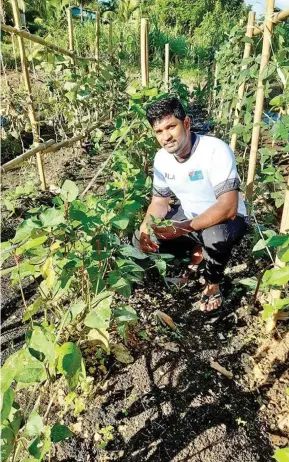  ??  ?? Shewin Ezebial at his backyard garden at Vunivau, Labasa on July 21, 2020.