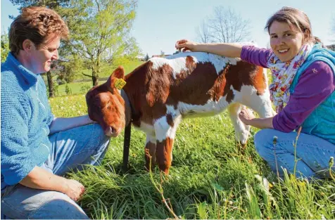  ?? Foto: Sabrina Schatz ?? Markus und Andrea Kleinschmi­dt sind Tierärzte und behandeln ihre Patienten nicht nur nach der Schulmediz­in – auch Akupunktur gehört zu den Methoden, die sie anwen den.