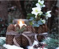  ?? Alamy/PA ?? Lantern surrounded by pine cones.