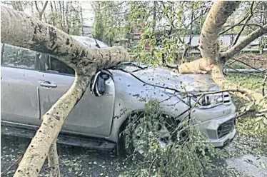  ?? CHINAPAT CHAIMON ?? Hailstorms were reported yesterday in Chiang Rai, uprooting two trees that smashed into a pickup truck on a road in tambon Sansai of the province’s central Muang district. Nobody was injured by the fallen trees.