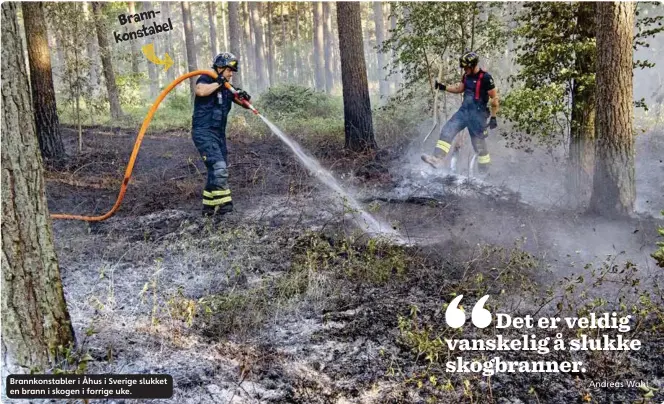  ??  ?? Brannkonst­abel Brannkonst­abler i Åhus i Sverige slukket en brann i skogen i forrige uke.