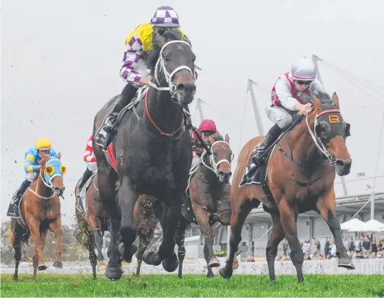  ?? Picture: AAP IMAGE ?? Graff (right) is narrowly beaten by Lean Mean Machine in the Run To The Rose, the main lead-up event to the Group 1 Golden Rose.