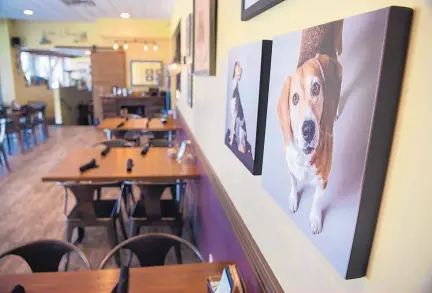  ?? EDDIE MOORE/JOURNAL ?? Artworks on the walls reinforce the theme of the Loyal Hound restaurant in Santa Fe.