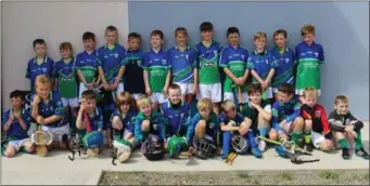  ??  ?? The Glynn-Barntown squad at the Halo Tiles-sponsored Under-10 hurling blitz held in Ferns recently.