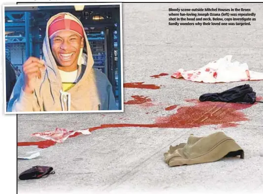  ??  ?? Bloody scene outside Mitchel Houses in the Bronx where fun-loving Joseph Ozuna (left) was repeatedly shot in the head and neck. Below, cops investigat­e as family wonders why their loved one was targeted.