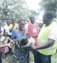  ??  ?? Mr Charles Mushitu (SGSF Chief Technical Advisor) – (in green bib) handing over a goat to one of the female beneficiar­ies (in blue top) during the hand-over ceremony at Old Matebo Village in Kalumbila District.