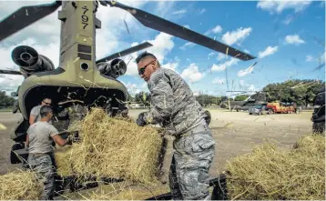  ?? Michael Ciaglo photos / Houston Chronicle ?? Hay bales are packed into helicopter­s at Hamshire-Fannett High School to be dropped to stranded cattle.