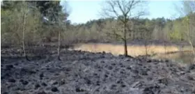  ?? FOTO BFM ?? Zaterdagav­ond woedde er een brand op de Kalmthouts­e Heide waarbij 10 hectare bos en heide werden aangetast.