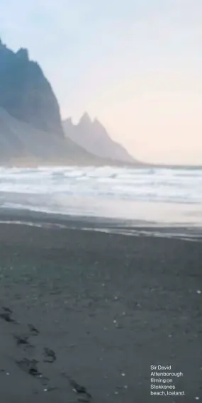  ??  ?? Sir David Attenborou­gh filming on Stokksnes beach, Iceland.