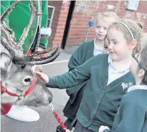  ??  ?? ●● Pupils from Ivy Bank Primary School were among the many to take part in the East Cheshire Hospice Reindeer Run