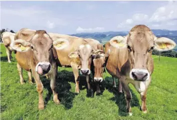  ?? KEYSTONE ?? Biomilch macht derzeit 7,1 Prozent der gesamten Schweizer Milchprodu­ktion aus.