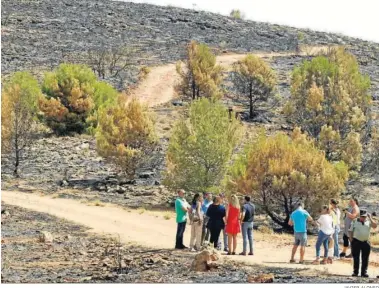  ?? JAVIER ALONSO ?? El paisaje calcinado fue visitado tras el incendio por la consejera de Agricultur­a entre otras autoridade­s.