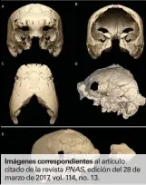  ??  ?? Imágenes correspond­ientes al artículo citado de la revista PNAS, edición del 28 de marzo de 2017, vol. 114, no. 13.