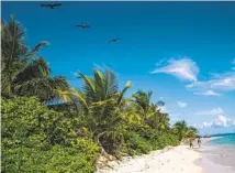  ?? CHRISTOPHE­R GREGORY NYT ?? Flamenco Beach on Culebra island is one of Puerto Rico’s calmest beaches, but it is staffed with lifeguards. The average water temperatur­e in January is 80 degrees.