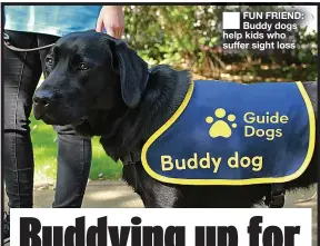  ?? ?? ■ FUN FRIEND: Buddy dogs help kids who suffer sight loss