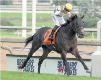  ?? MICHAEL BURNS/THE CANADIAN PRESS ?? Neepawa, ridden by Jerome Lermyte, won the Breeders’ Stakes, making up for a disappoint­ing Queen’s Plate showing.