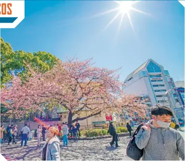  ?? FOTO: AFP ?? La posible ausencia de vistantes es un riesgo para el turismo en Japón. /