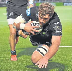  ?? SNS. ?? Callum Gibbins is free to play against Cheetahs and Southern Kings.