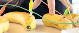  ?? Foto: TU Wien ?? Auch so kann man lernen: Kinder bauen ein Bananenkla­vier.