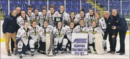  ?? SUBMITTED ?? The Northern Subway Selects won the Nova Scotia Female Midget AAA Hockey League championsh­ip for the first time in the team’s history, and will represent the province at the Atlantic championsh­ip. Shown, from left, back row: coach Troy Reid, assistant...