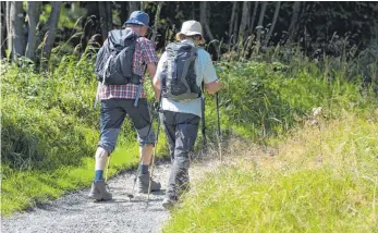  ?? FOTO: SWEN PFÖRTNER/DPA ?? Der Albverein bietet abwechslun­gsreiche Wanderunge­n an – und pflegt Wanderwege.