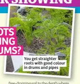  ??  ?? You get straighter roots with good colour in drums and pipes