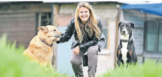  ?? FOTOS: WEISSENFEL­S ?? Susanna Weber mit ihren Hunden Ted (links) und Yoshi. Sie eröffnet in Dinslaken eine neue Hundetages­stätte.