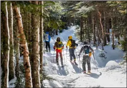  ?? PROVIDED BY JOSH LASKIN VIA THE NEW YORK TIMES ?? A group skins up the Tuckerman Ravine Trail on Mount Washington in New Hampshire during the 2023 Mount Washington Backcountr­y Ski Festival in February 2023.