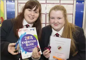  ??  ?? Aoibheann Hayes and Hannah Kinsella from Avondale Community College, Rathdrum.