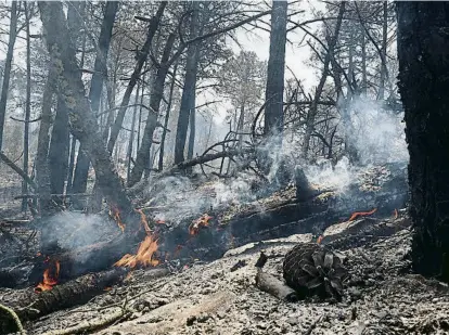  ?? PERE DURAN / NORD MEDIA ?? El vent i la calor extrema van fer revifar ahir les flames en alguns punts del perímetre