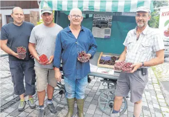  ?? FOTO: ALEXANDER TUTSCHNER ?? Die Immenstaad­er Bauern freuen sich bislang in diesem Jahr über tolles Obst, sie würden die Früchte ihrer Arbeit aber gerne selbst ernten (von links): Rainer Heberle (BLHV-Vorsitzend­er), Martin Gommeringe­r, Klaus Eberle und Hubert Langenstei­n.