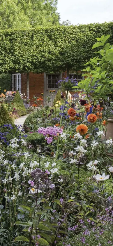  ??  ?? Left Matt uses daring colour combinatio­ns. In the foreground he has teamed the white of airy Gaura lindheimer­i ‘Whirling Butterflie­s’ and Dahlia ‘Twyning’s After Eight’ with the scented pink Phlox paniculata ‘Franz Schubert’, but has placed these pale...