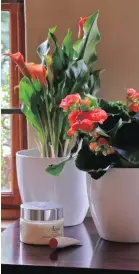  ??  ?? TRENDY: Calla lilies and begonias.