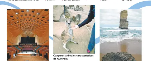  ??  ?? Vista interior del Concert Hall del Sydney Opera House.
Canguros animales caracterís­ticos de Australia. 12 Apóstoles, montañas de piedra caliza que salen del mar.