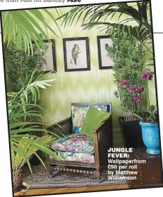  ??  ?? jungle fever: Wallpaperf­rom €90 per roll by Matthew Williamson