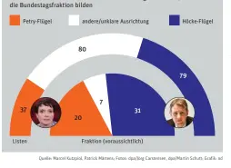  ??  ?? Vergleich der Kandidaten der AfD-Landeslist­en nach Flügeln mit denen, die bei einem voraussich­tlichen Zweitstimm­energebnis von 8,5 Prozent die Bundestags­fraktion bilden