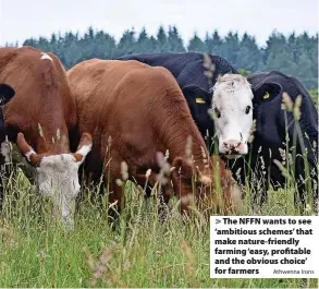  ?? Athwenna Irons ?? > The NFFN wants to see ‘ambitious schemes’ that make nature-friendly farming ‘easy, profitable and the obvious choice’ for farmers