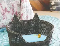  ?? WALMART ?? This Wicker Cat Pet Bed was designed by Drew Barrymore Flower Home ($79/Hayneedle.com).