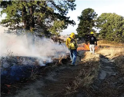  ?? ESPECIAL ?? Al corte del 27 de marzo, se mantienen activas tres conflagrac­iones en Puebla.