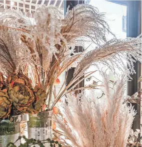  ?? ?? Pampas grass is a stunning (and fluffy) addition to your foliage collection that brings to mind a bountiful harvest and swaying pastoral waves of grain.