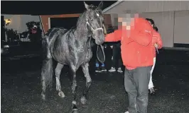  ?? FOTO: BAARD LARSEN/ FROLENDING­EN ?? BLE FUNNET: Hesten ble funnet like etter klokka 21 etter drøyt halvannen time på frifot.