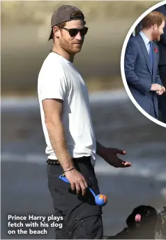  ??  ?? Prince Harry plays fetch with his dog on the beach